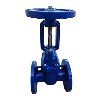 Cast Iron Wedge Gate Valve