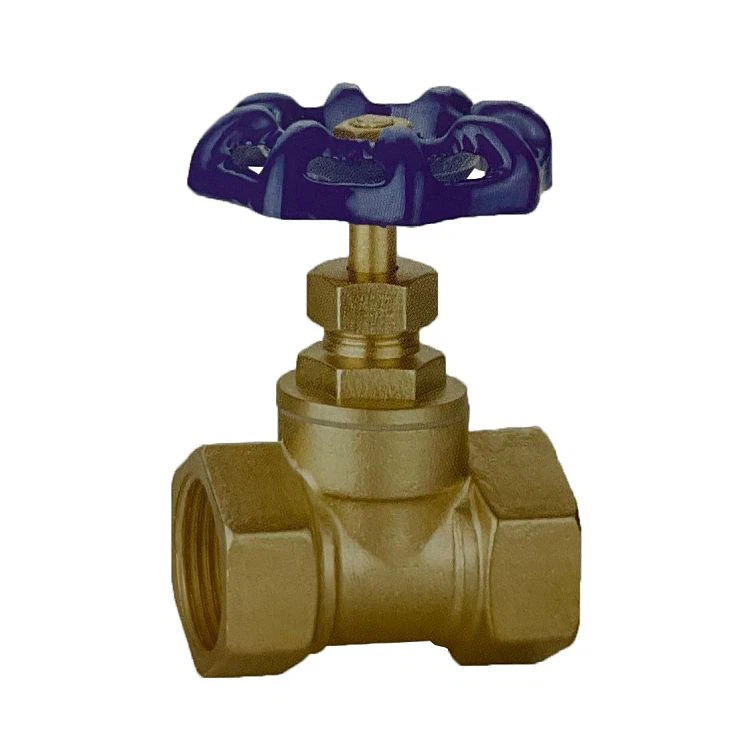 Poj Niam Xov Check Valve